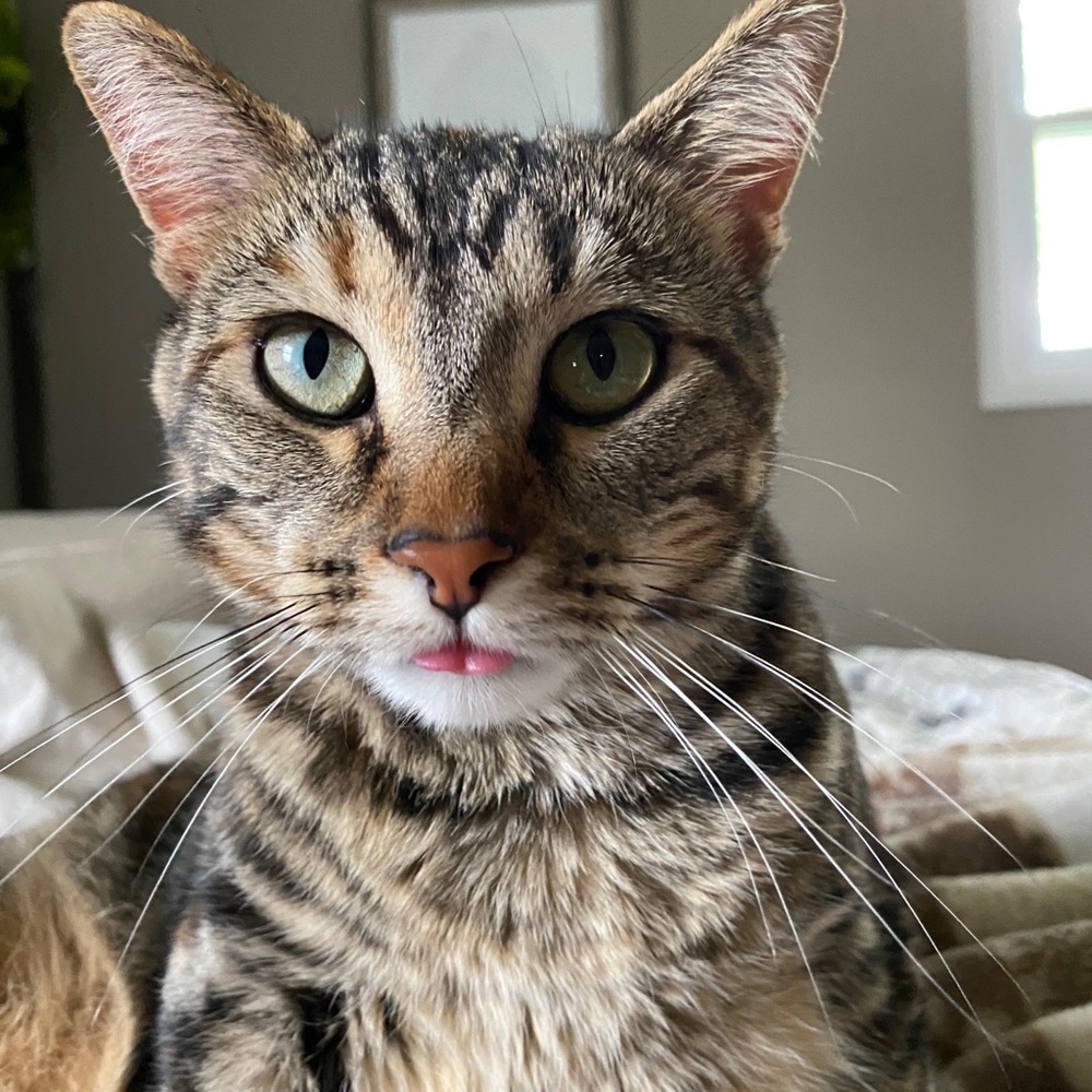 Meet your Posher, Harry